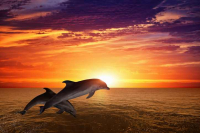 A Lemurian Heart Solstice Celebration - Sunday 21st December 2025